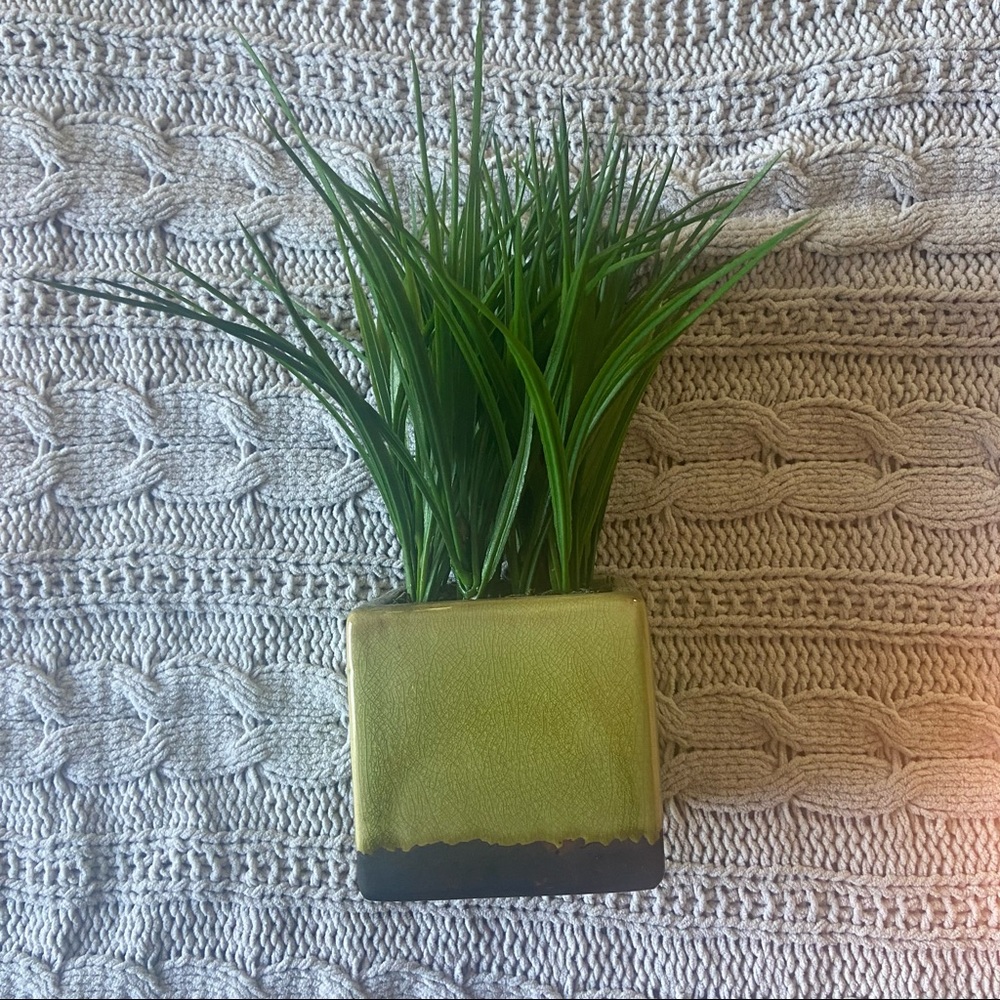 Faux plant decor
